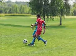 奥坎波斯精,准直塞费尔,南多立功,宝威体育官网,宝威体育平台,宝威体育链接,宝威体育官方