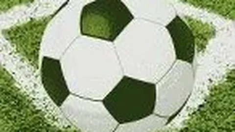 宝威体育 资讯 141200 568