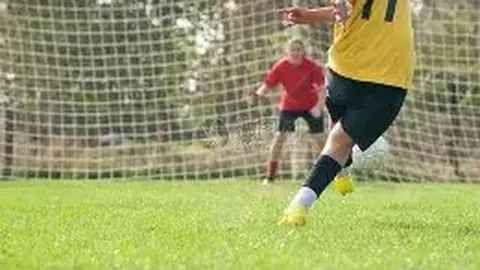 宝威体育 资讯 142025 p5i