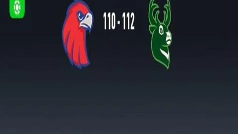 中国女足官方任命米利西奇为新主教练